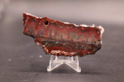 Idaho Wildfire Seam Agate (Polished)