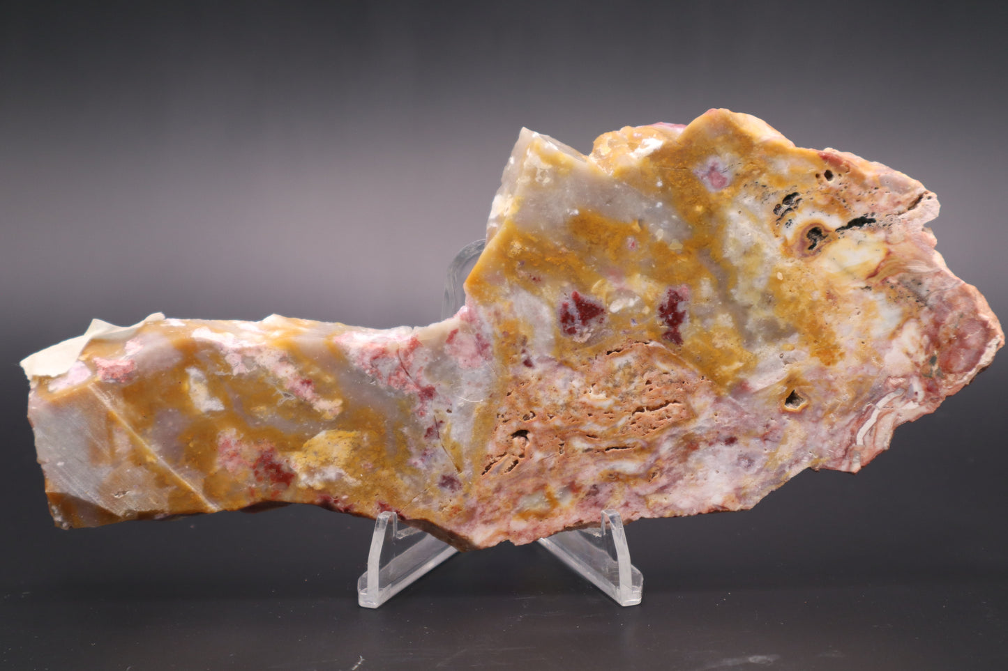 Windy Mountain Snowflake Jasper slab (Unpolished)