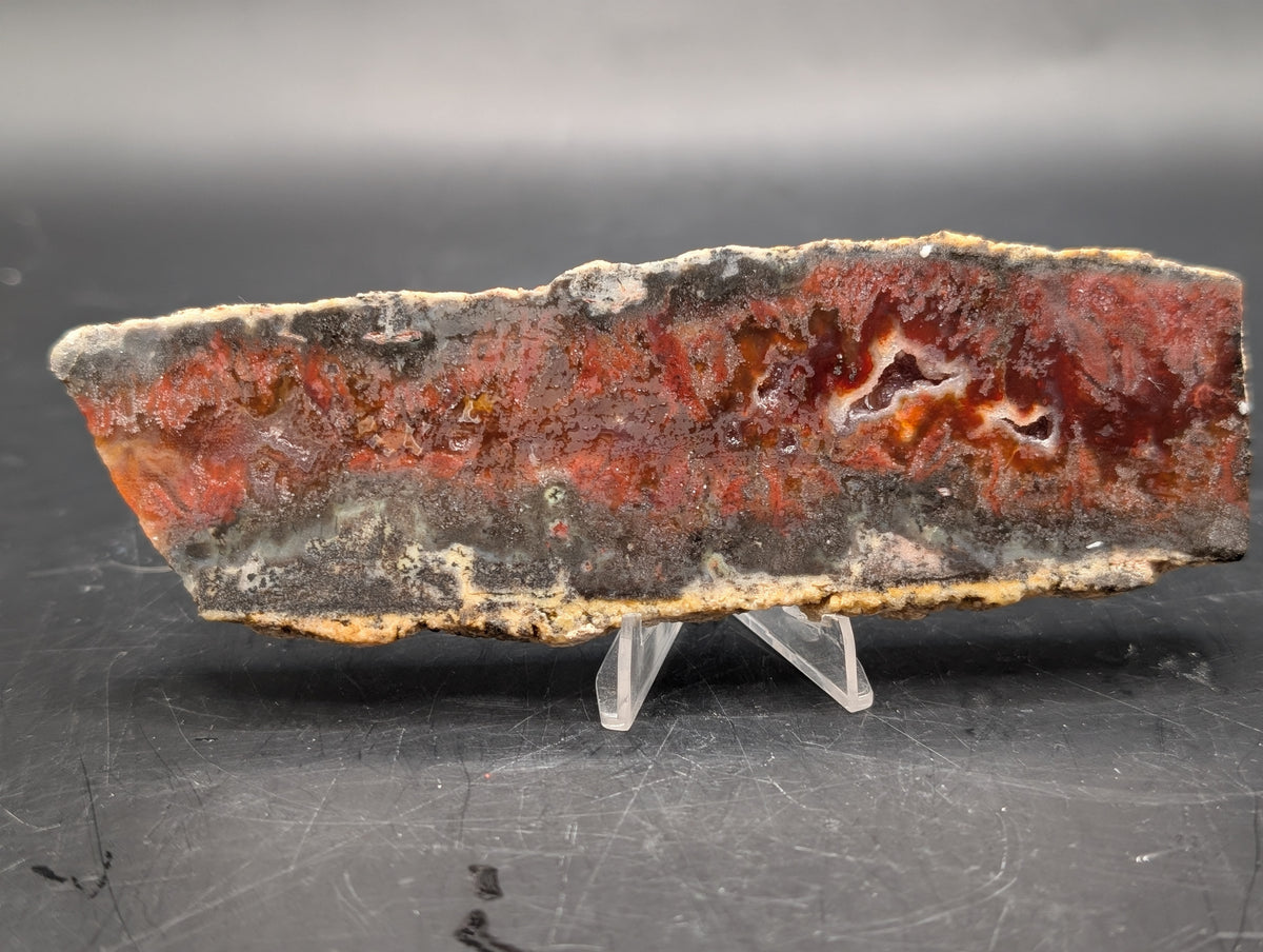 Mexican Flame Agate (Unpolished)