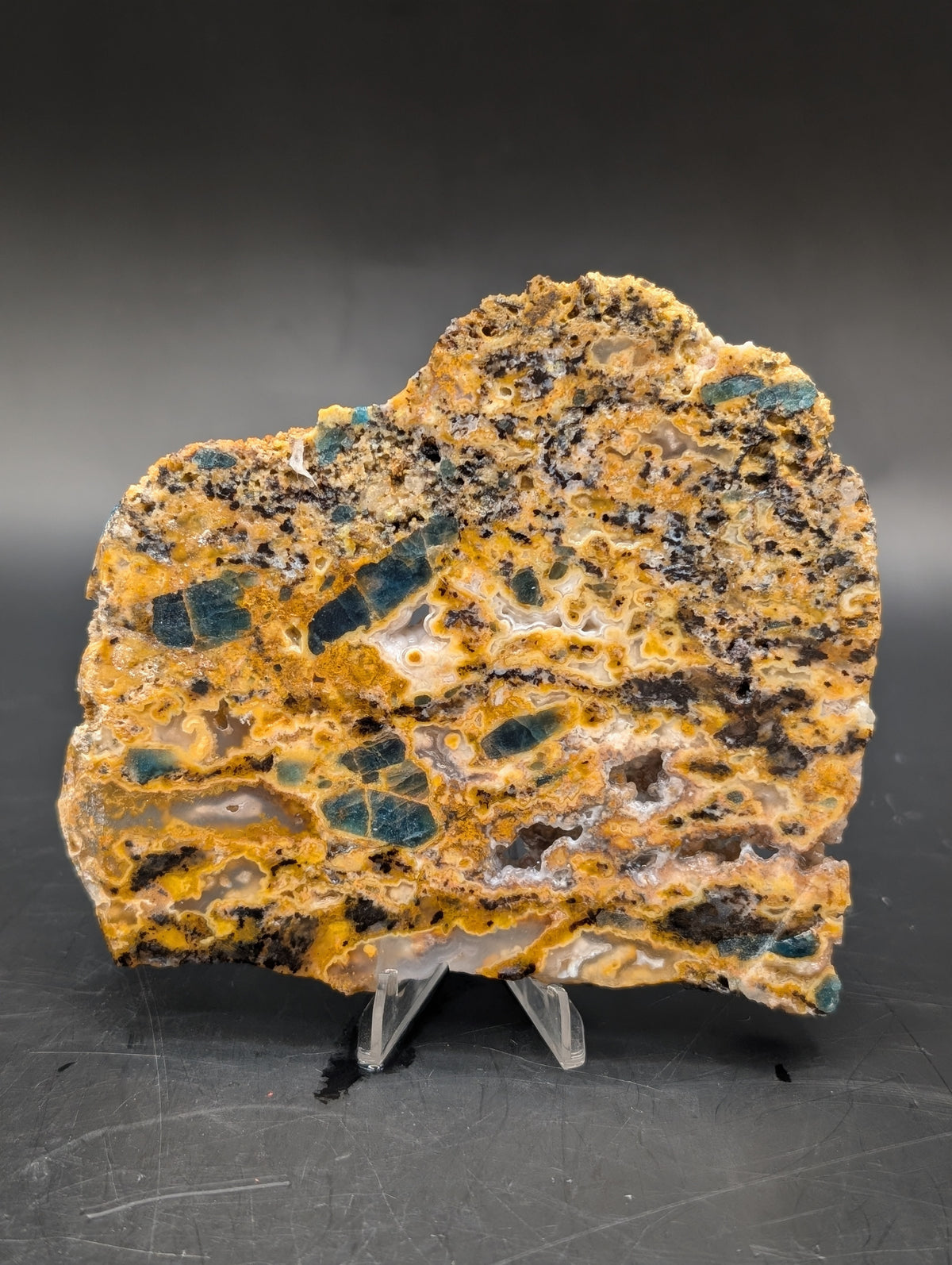 Cheetah Agate (Unpolished)