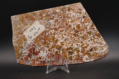 Moroccan Atlas Mountain Jasper slab (Unpolished)
