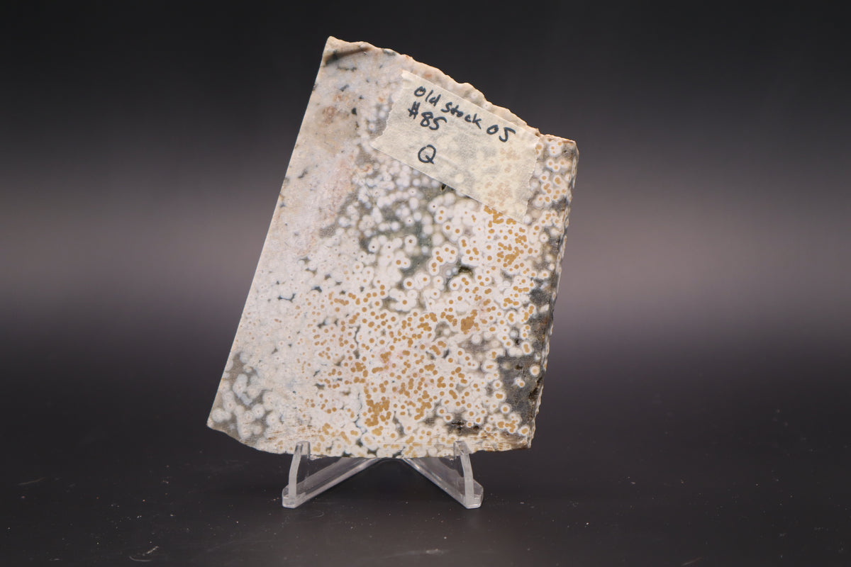 Ocean Jasper Slab (Unpolished)