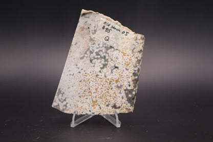 Ocean Jasper Slab (Unpolished)