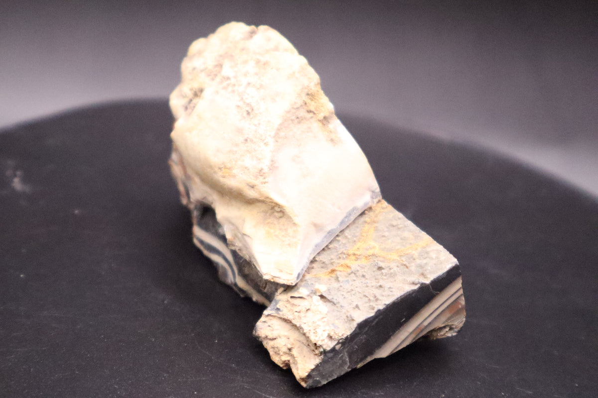 Fryite Jasper specimen (Collector's Grade-Polished)