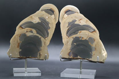 Fryite Jasper set (Collector's Grade)
