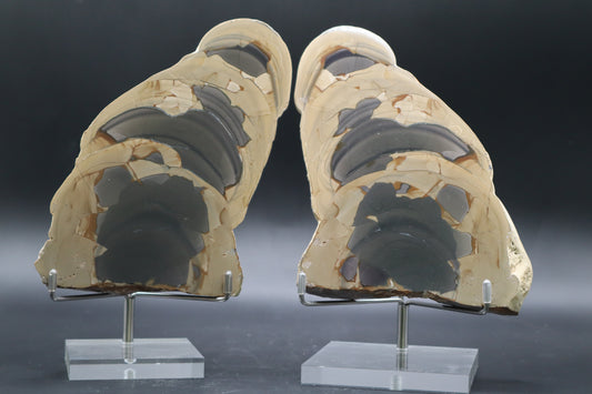 Fryite Jasper set (Collector's Grade-Polished)