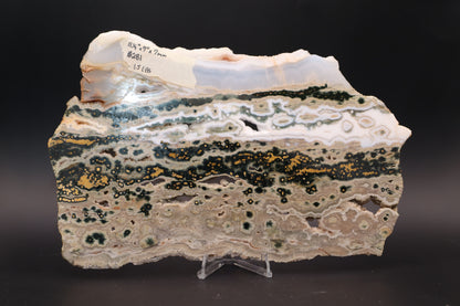 Ocean Jasper Slab (Unpolished)