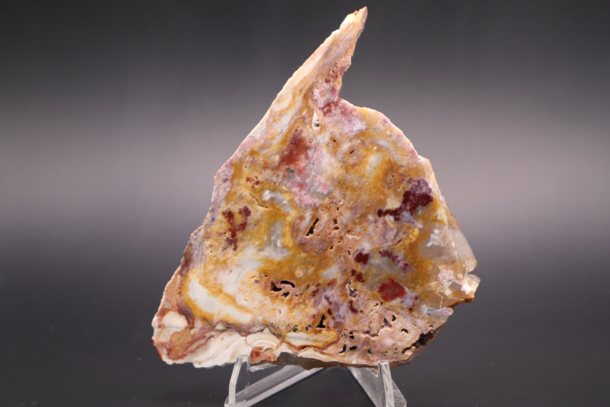 Windy Mountain Snowflake Jasper slab (Unpolished)