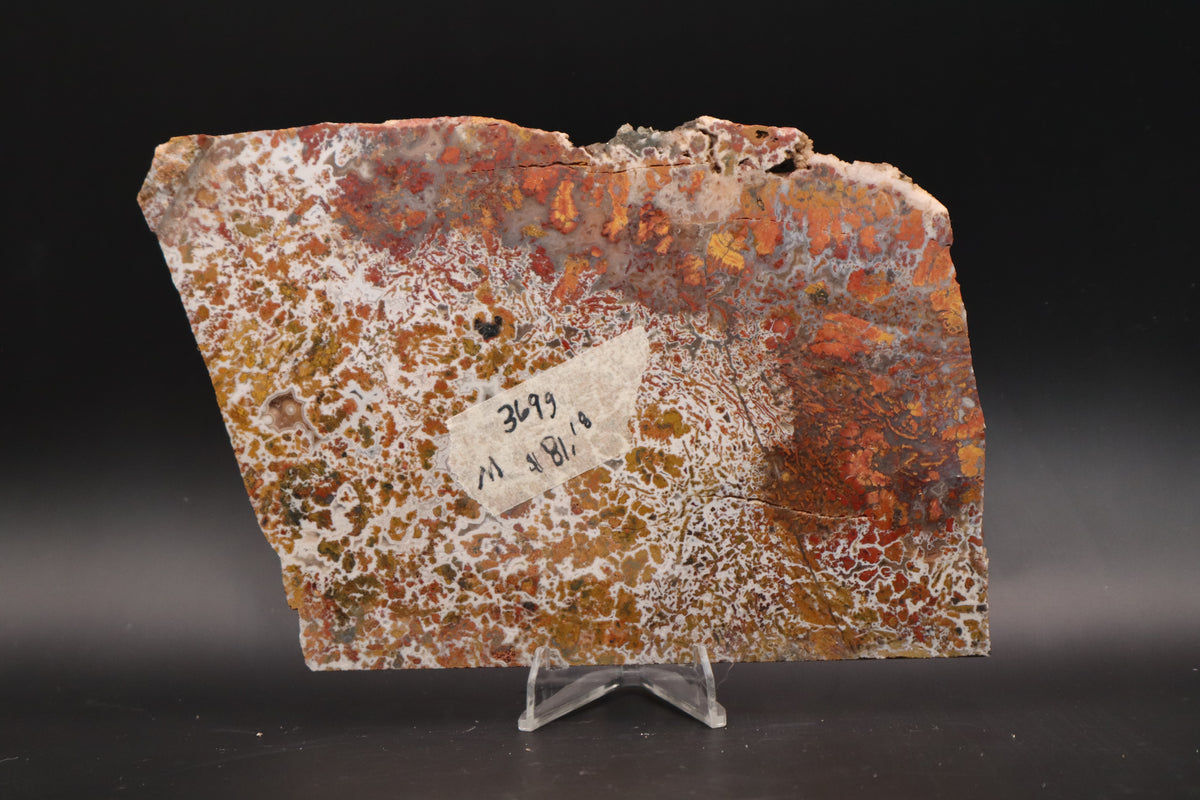 Moroccan Atlas Mountain Jasper slab (Unpolished)