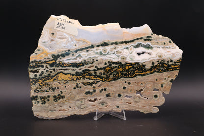 Ocean Jasper Slab (Unpolished)