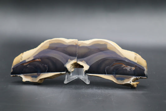 Fryite Jasper butterfly set (Collector's Grade-Polished)