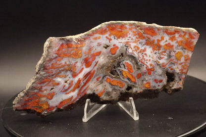 Wingate Pass Plume Agate slab (Unpolished)