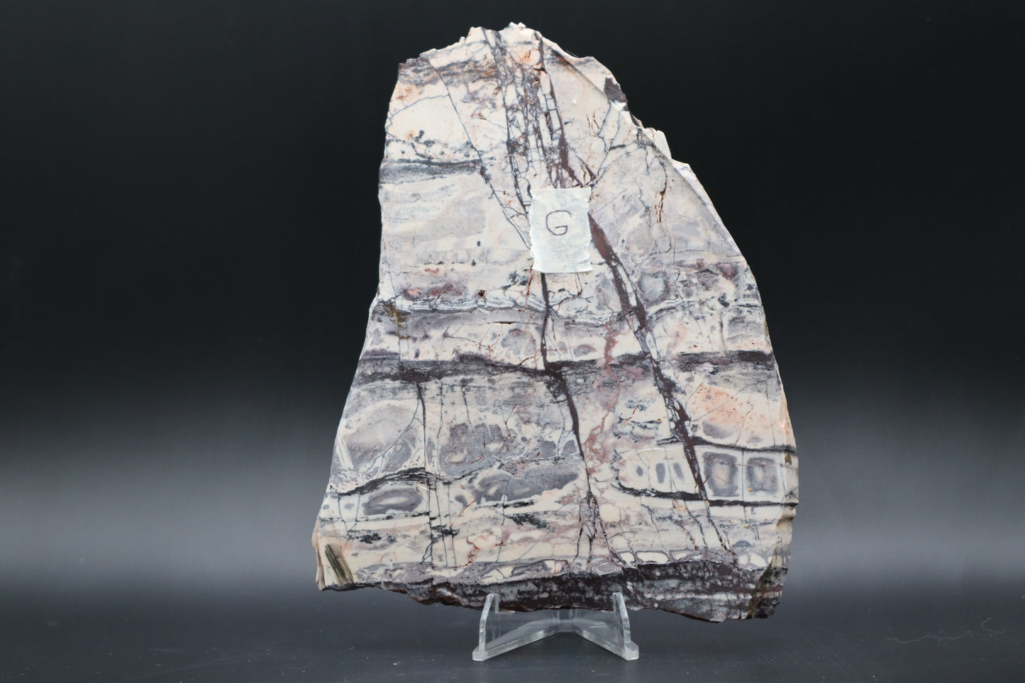 Exotica Sci-Fi Jasper slab (Unpolished)