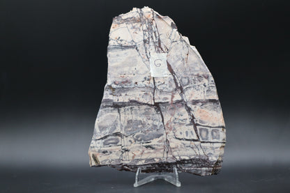 Exotica Sci-Fi Jasper slab (Unpolished)