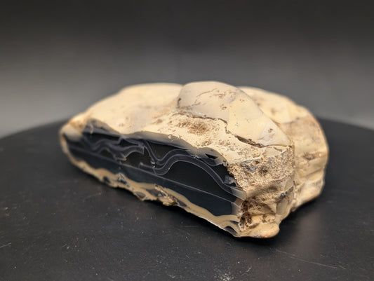 Fryite Jasper Specimen (Collector's Grade-Polished)