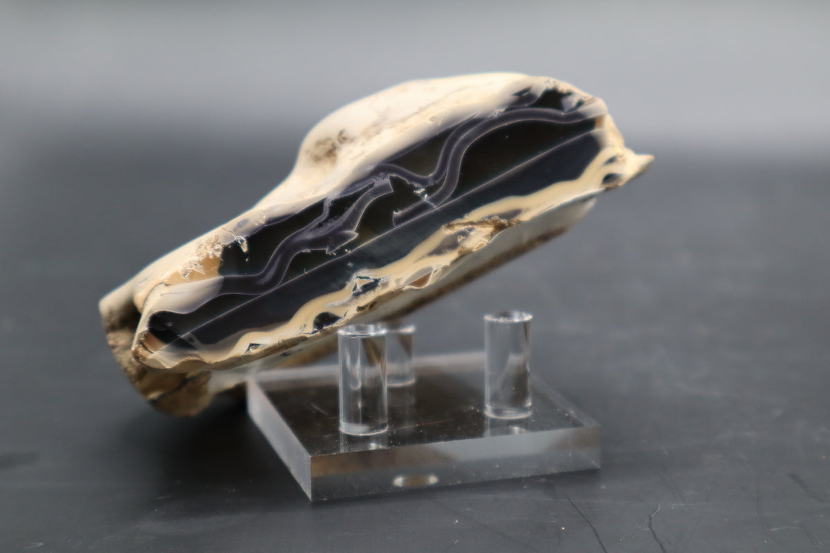 Fryite Jasper set (Collector's Grade)
