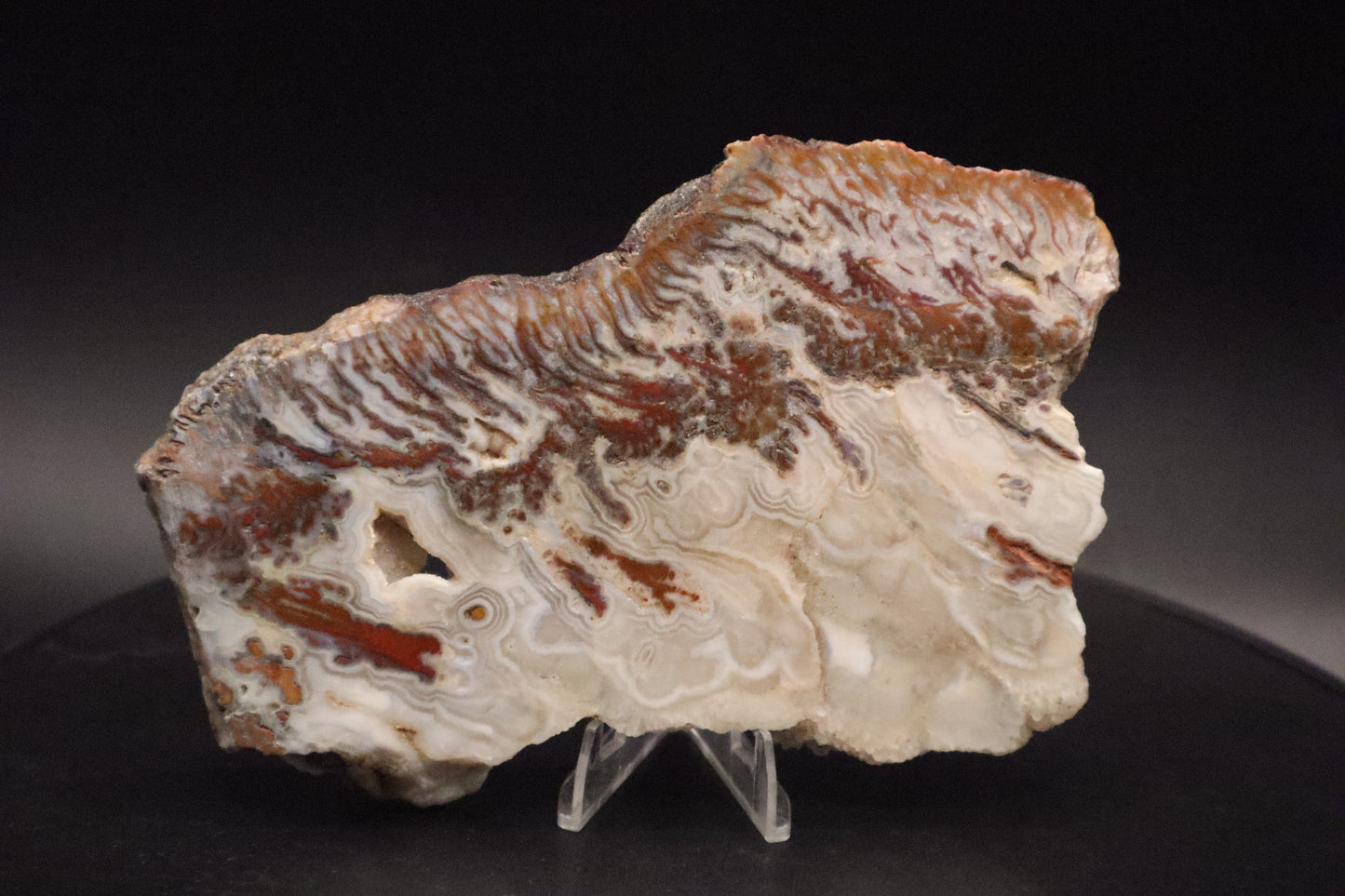 Wingate Pass Plume Agate slab (Unpolished)