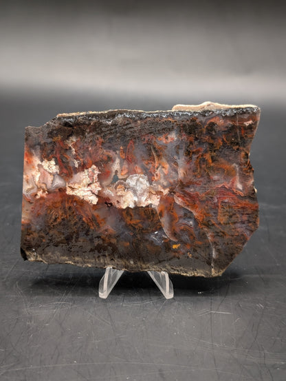 Mexican Flame Agate (Unpolished)
