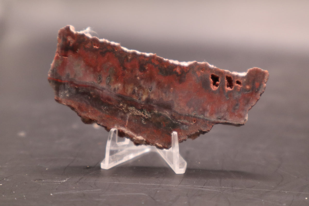 Idaho Wildfire Seam Agate (Polished)