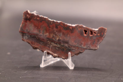 Idaho Wildfire Seam Agate (Polished)