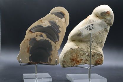 Fryite Jasper set (Collector's Grade)