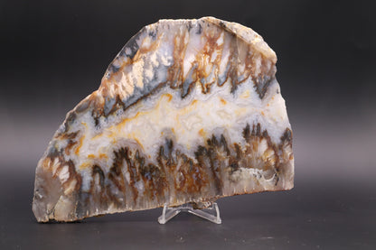 Regency Rose Plume Agate slab (Unpolished)