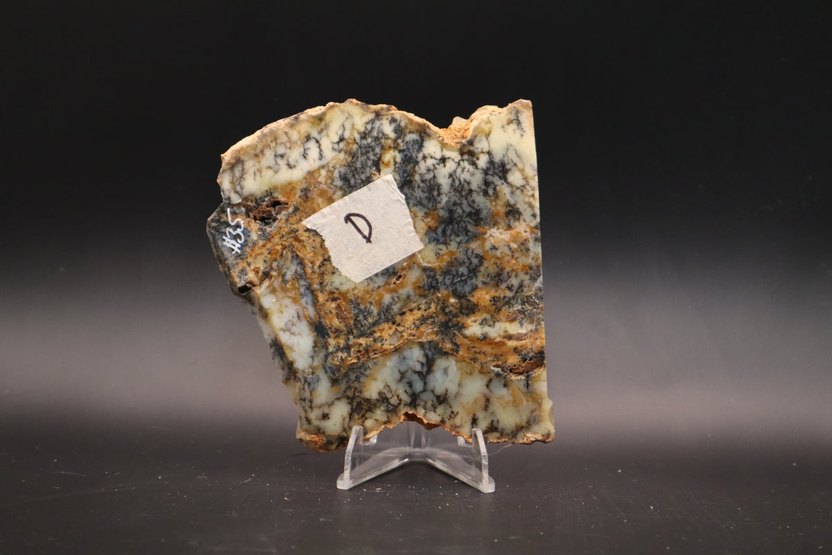 Australian Dendritic Opal slab (Unpolished)