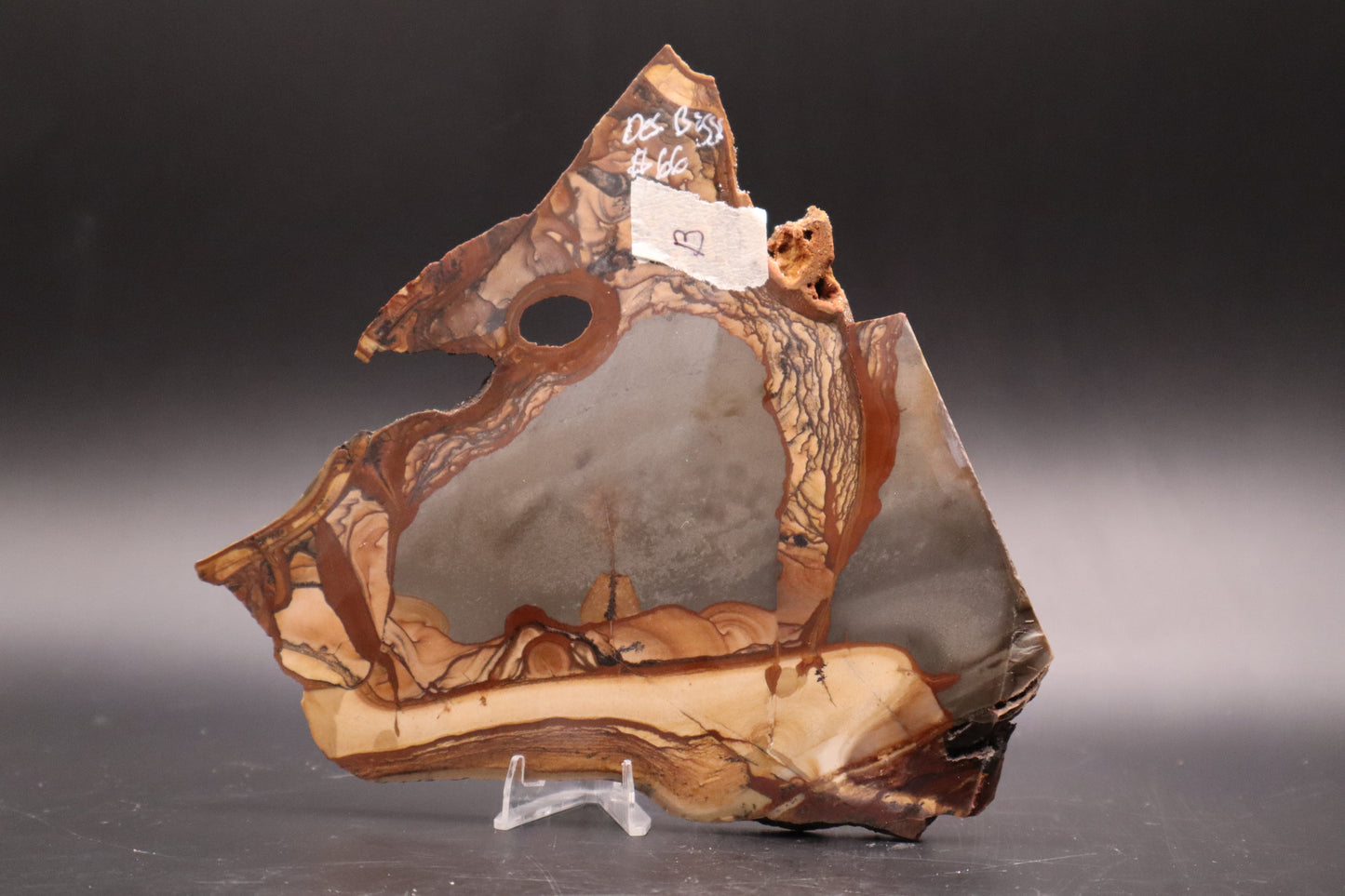 Biggs Jasper slab (Unpolished)