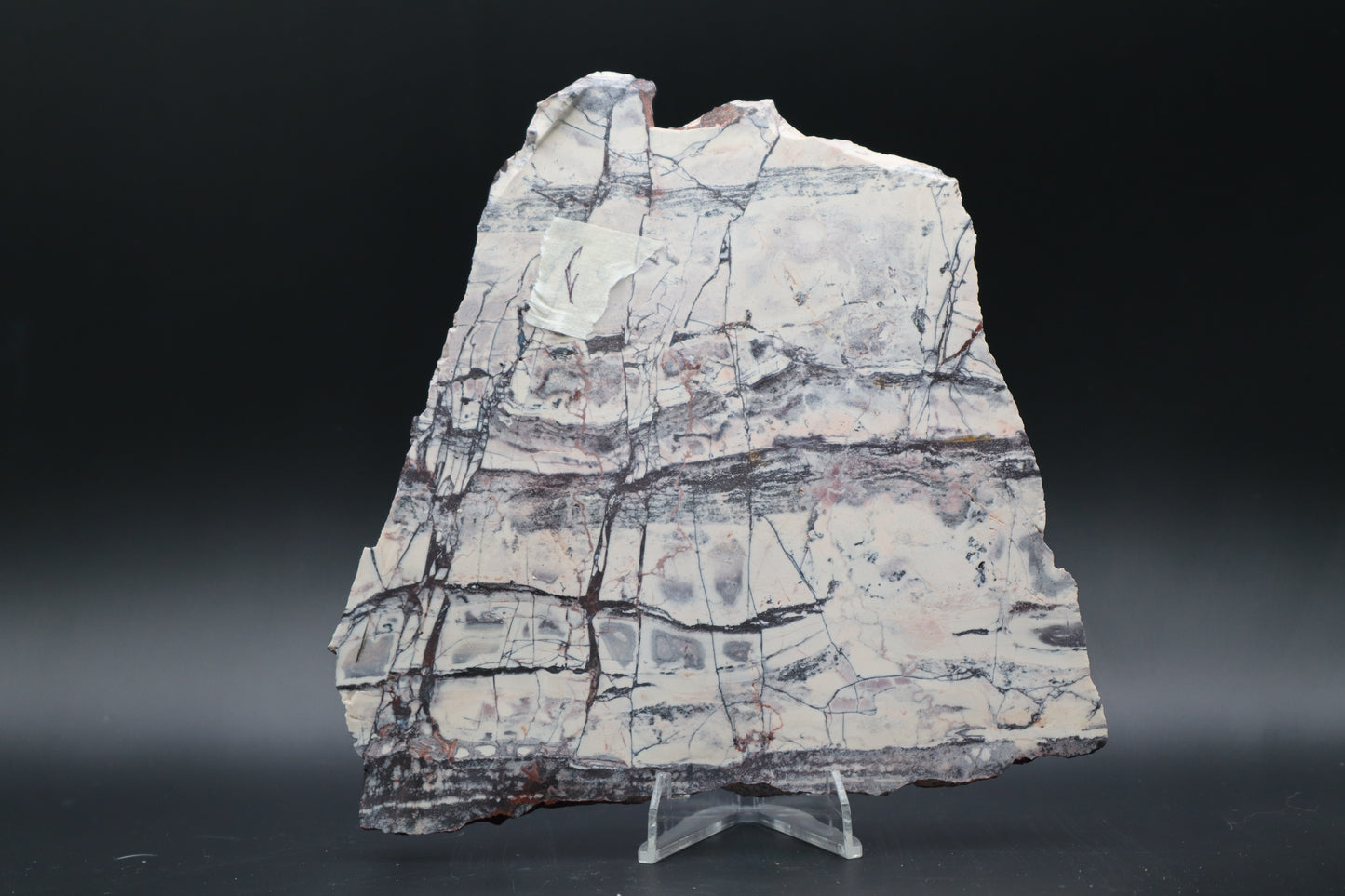 Exotica Sci-Fi Jasper slab (Unpolished)