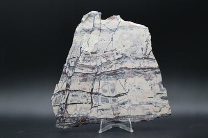 Exotica Sci-Fi Jasper slab (Unpolished)