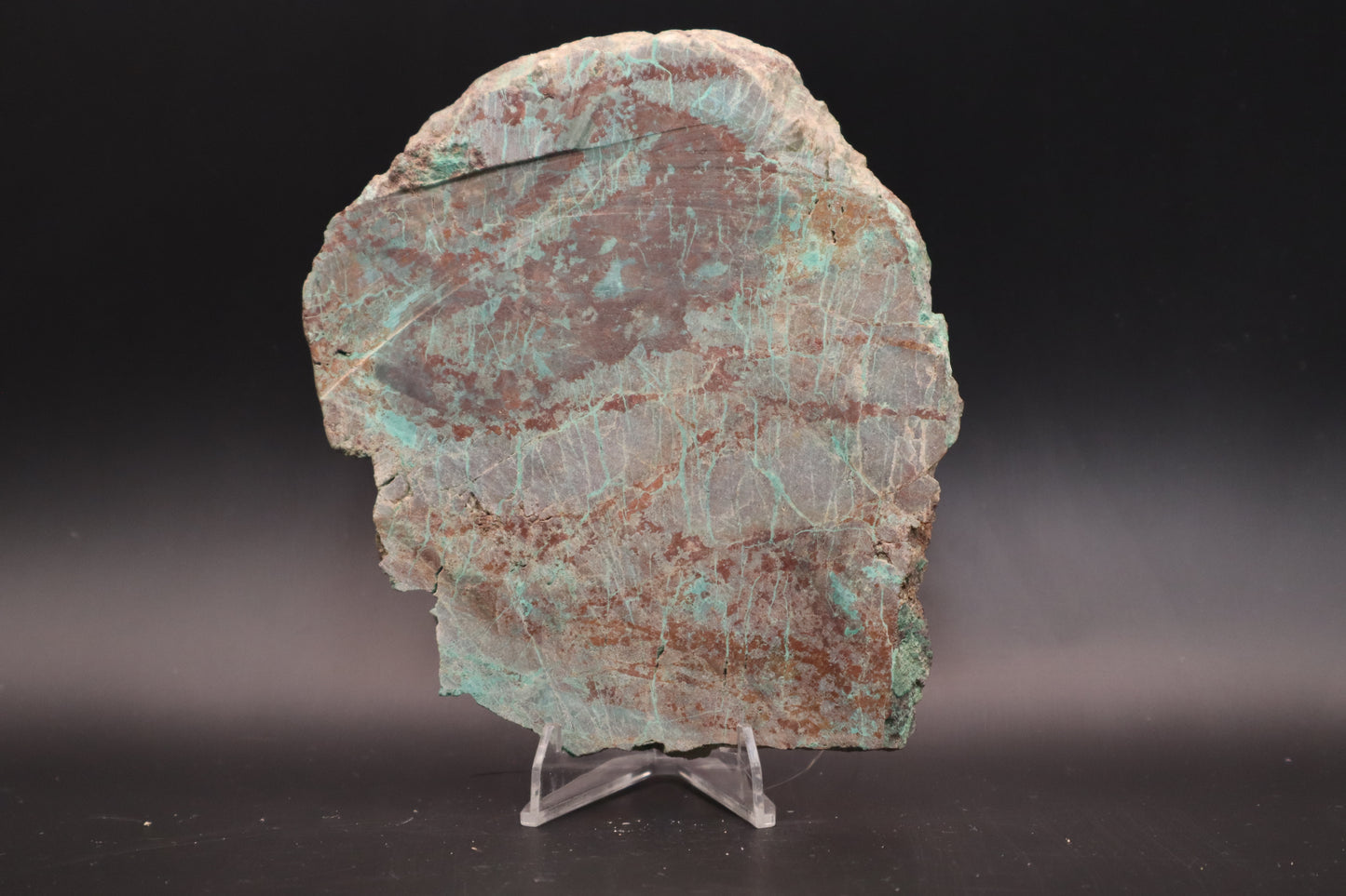 Spiderweb Chrysocolla (Unpolished)