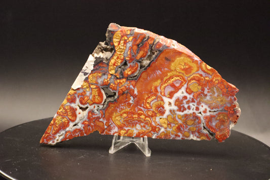 Wingate Pass Plume Agate slab (Semi-Polished)