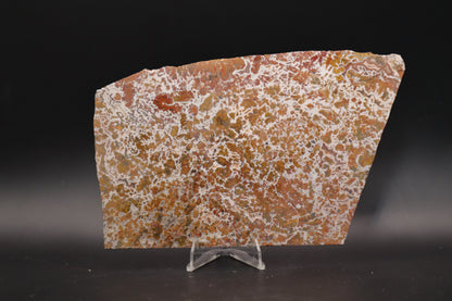 Moroccan Atlas Mountain Jasper slab (Unpolished)