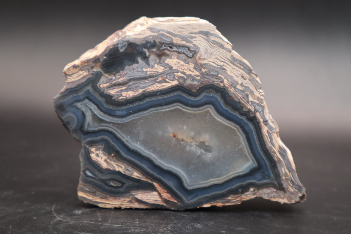 Turkish Agate in Rhyolite end cut (Unpolished)