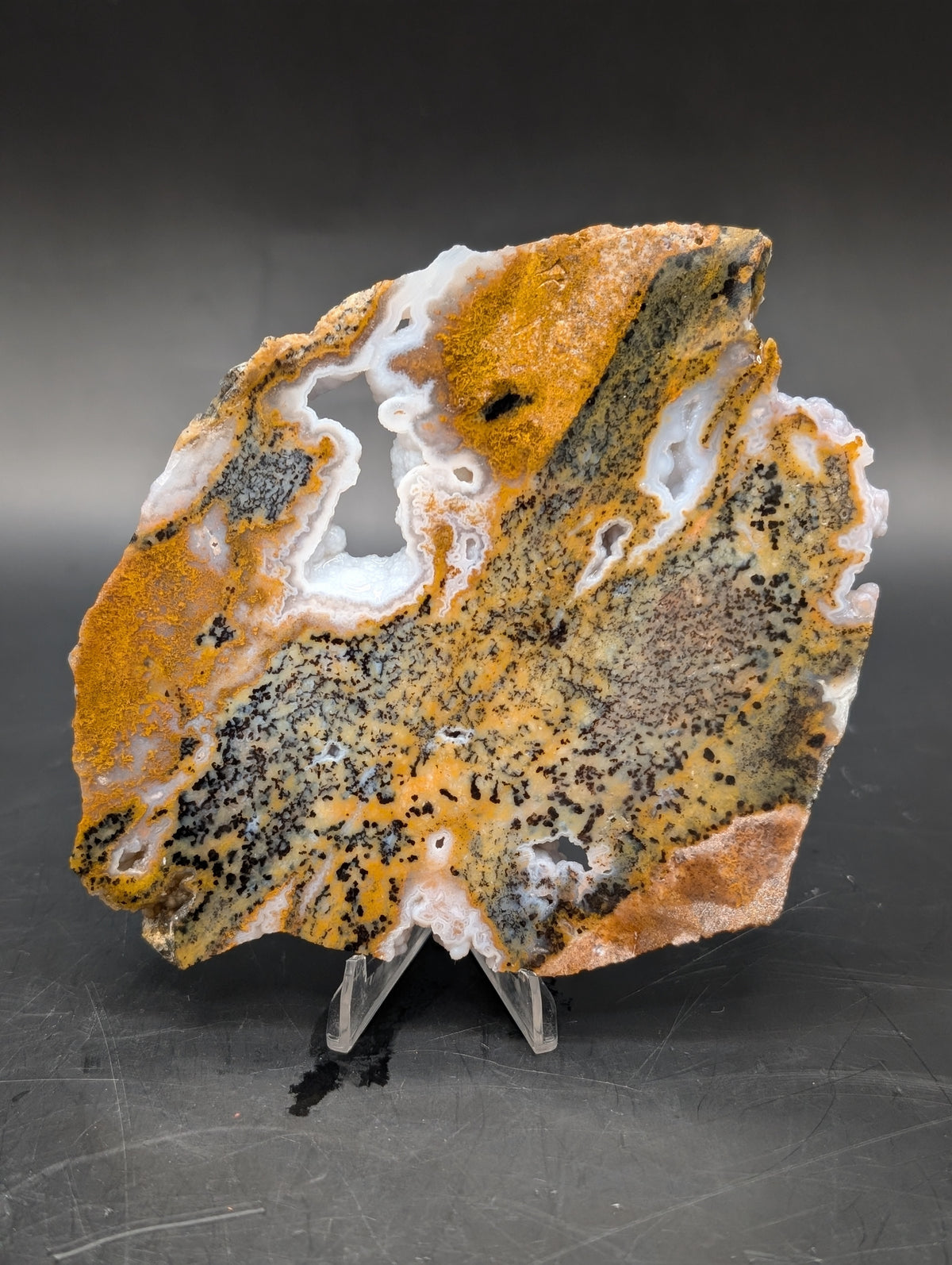 Cheetah Agate (Unpolished)