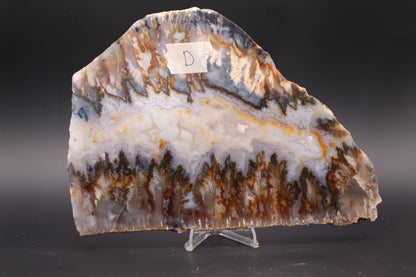 Regency Rose Plume Agate slab (Unpolished)