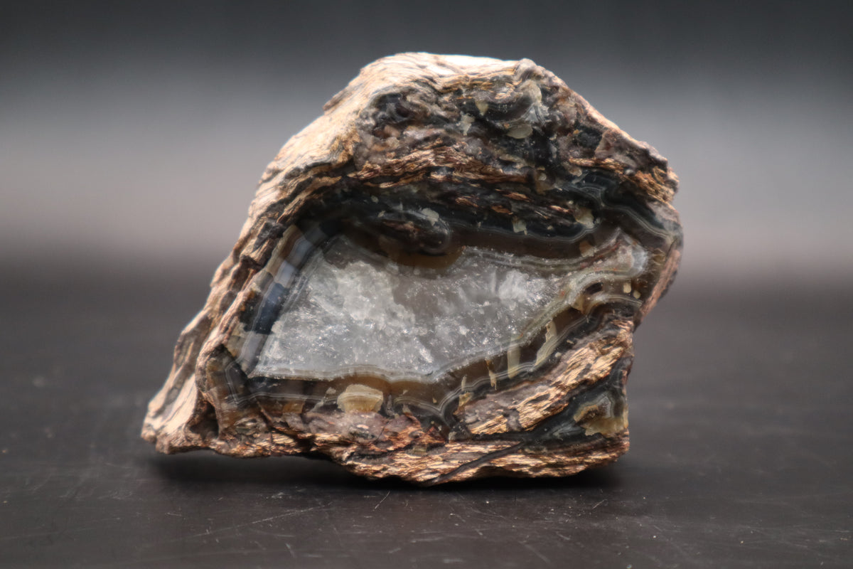 Turkish Agate in Rhyolite end cut (Unpolished)