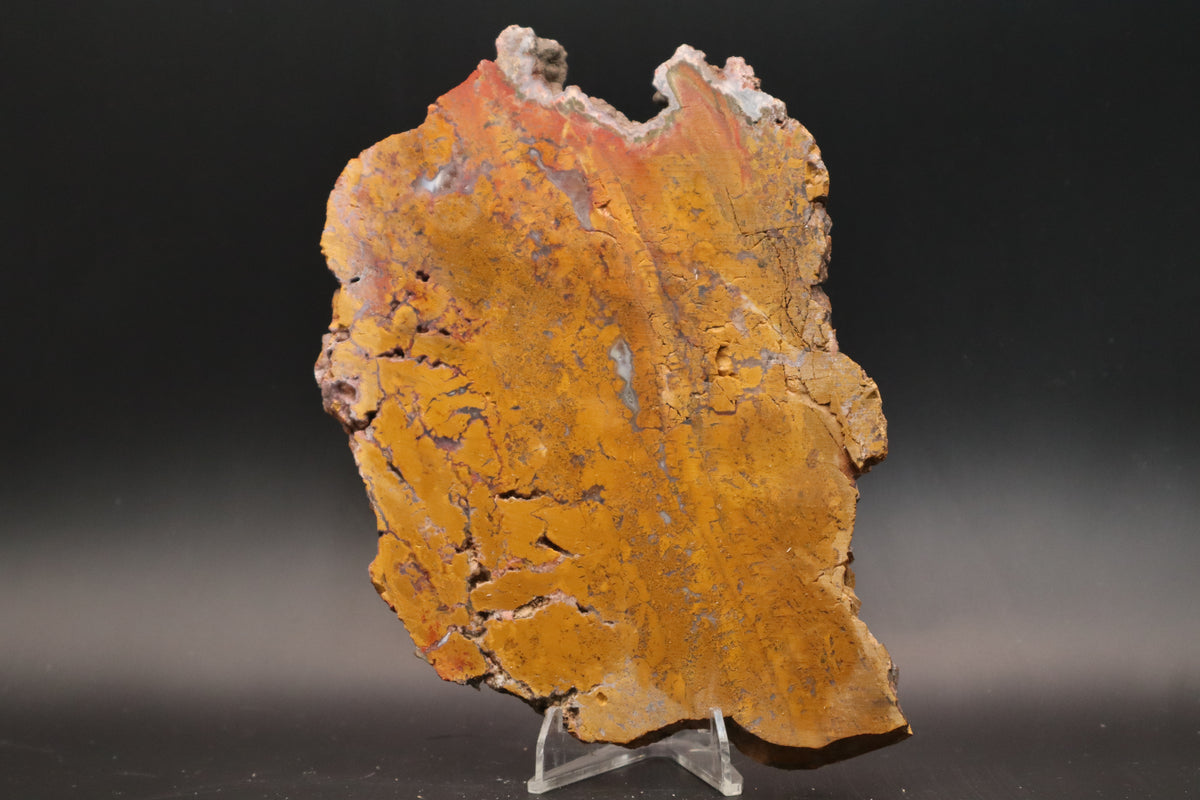 Arizona Yellow Jasper Agate slab (Unpolished)