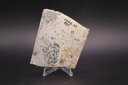 Ocean Jasper Slab (Unpolished)