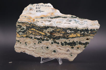 Ocean Jasper Slab (Unpolished)
