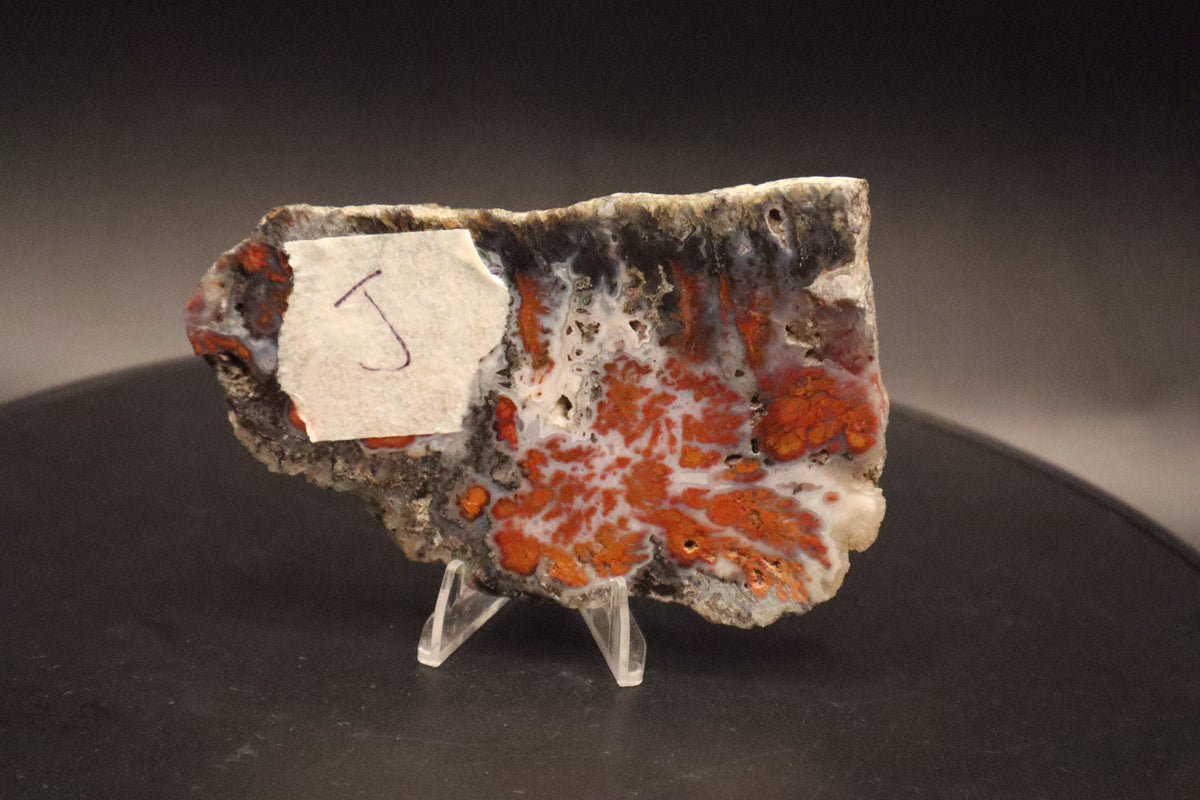 Wingate Pass Plume Agate slab (Unpolished)