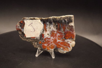 Wingate Pass Plume Agate slab (Unpolished)