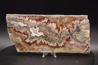 Blue Moon Plume agate (Unpolished)