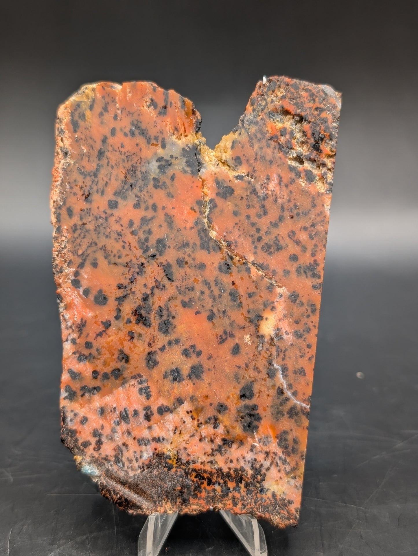 Cheetah Agate (Unpolished)