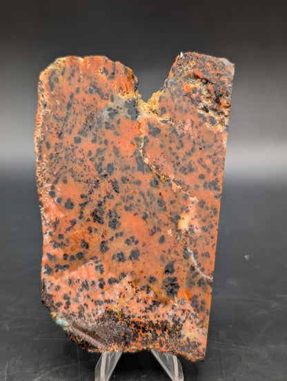 Cheetah Agate (Unpolished)
