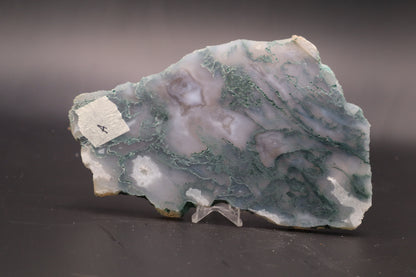 Green Moss Agate slab (Unpolished)