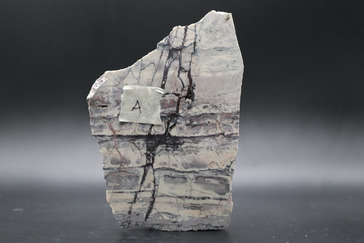 Exotica Sci-Fi Jasper slab (Unpolished)