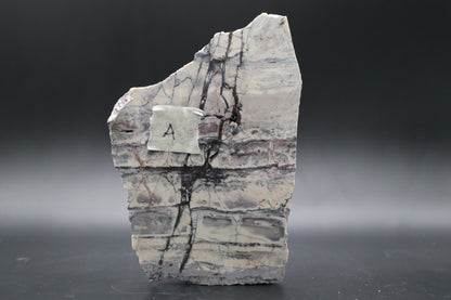 Exotica Sci-Fi Jasper slab (Unpolished)