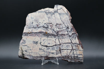 Exotica Sci-Fi Jasper slab (Unpolished)