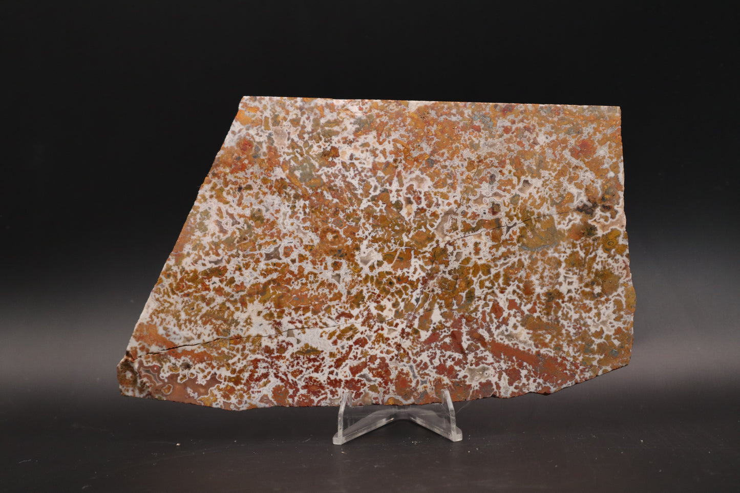 Moroccan Atlas Mountain Jasper slab (Unpolished)